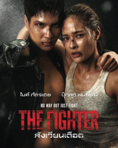 The Fighter